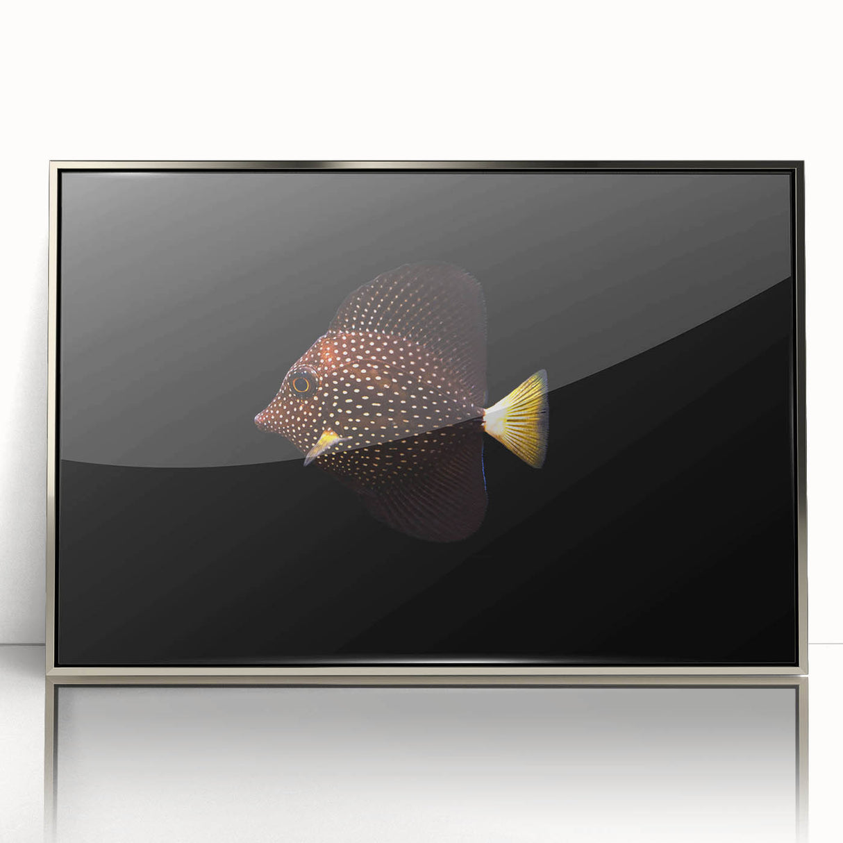 Framed wall art piece showcasing a vibrant marine life fish design with intricate details, set in a sleek silver frame, perfect for aquatic-themed decor.