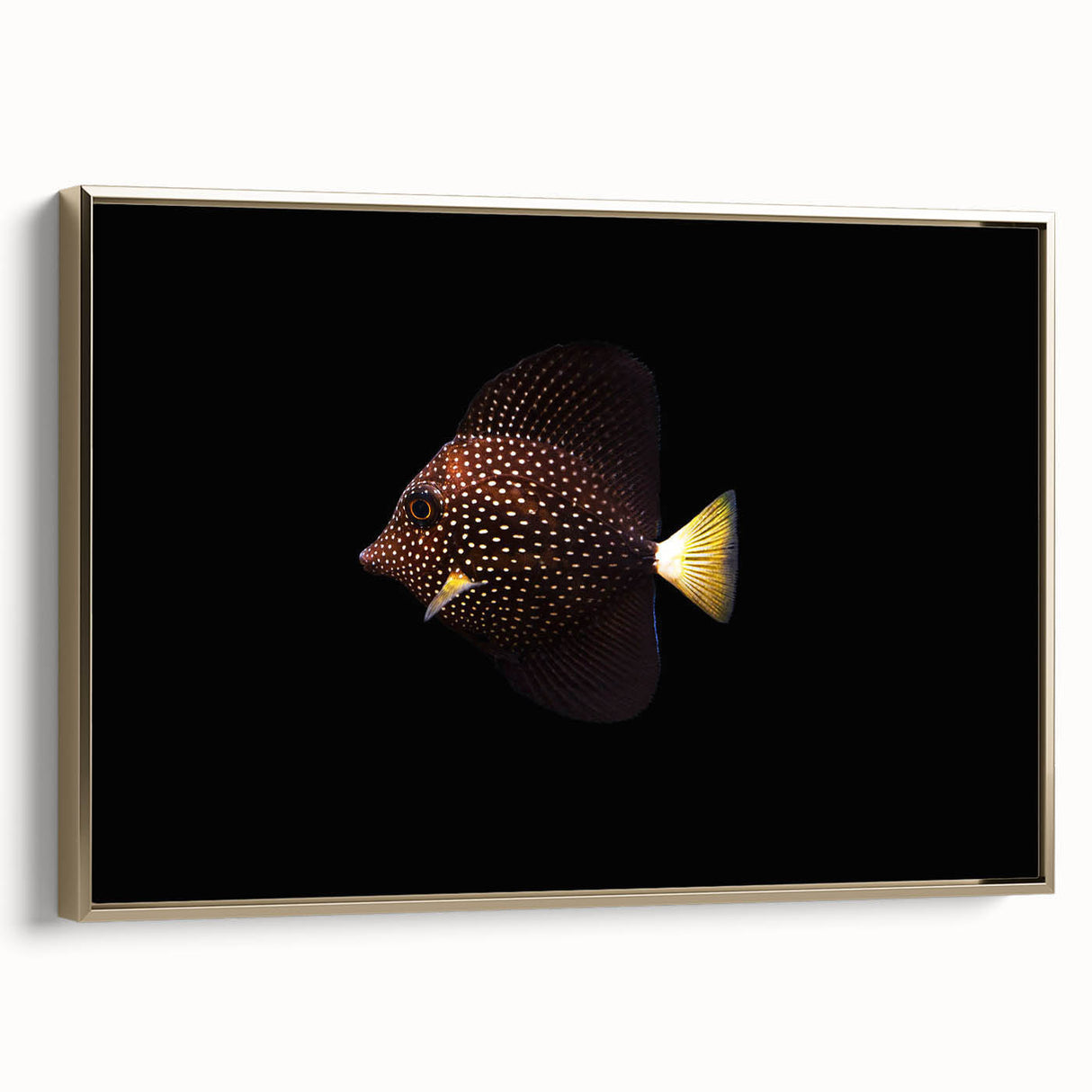 Framed canvas wall art showcasing a vibrant marine life fish design with intricate details and a gold frame, perfect for ocean-themed decor in any setting.