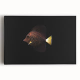 Vibrant marine life canvas wall art featuring colorful fish and coral designs, ideal for beach-themed decor, showcasing intricate details and vivid colors.