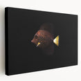 Stretched canvas wall art showcasing a vibrant marine life fish design, featuring vivid colors and intricate details, ideal for ocean-themed home decor.