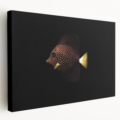 Stretched canvas wall art showcasing a vibrant marine life fish design, featuring vivid colors and intricate details, ideal for ocean-themed home decor.
