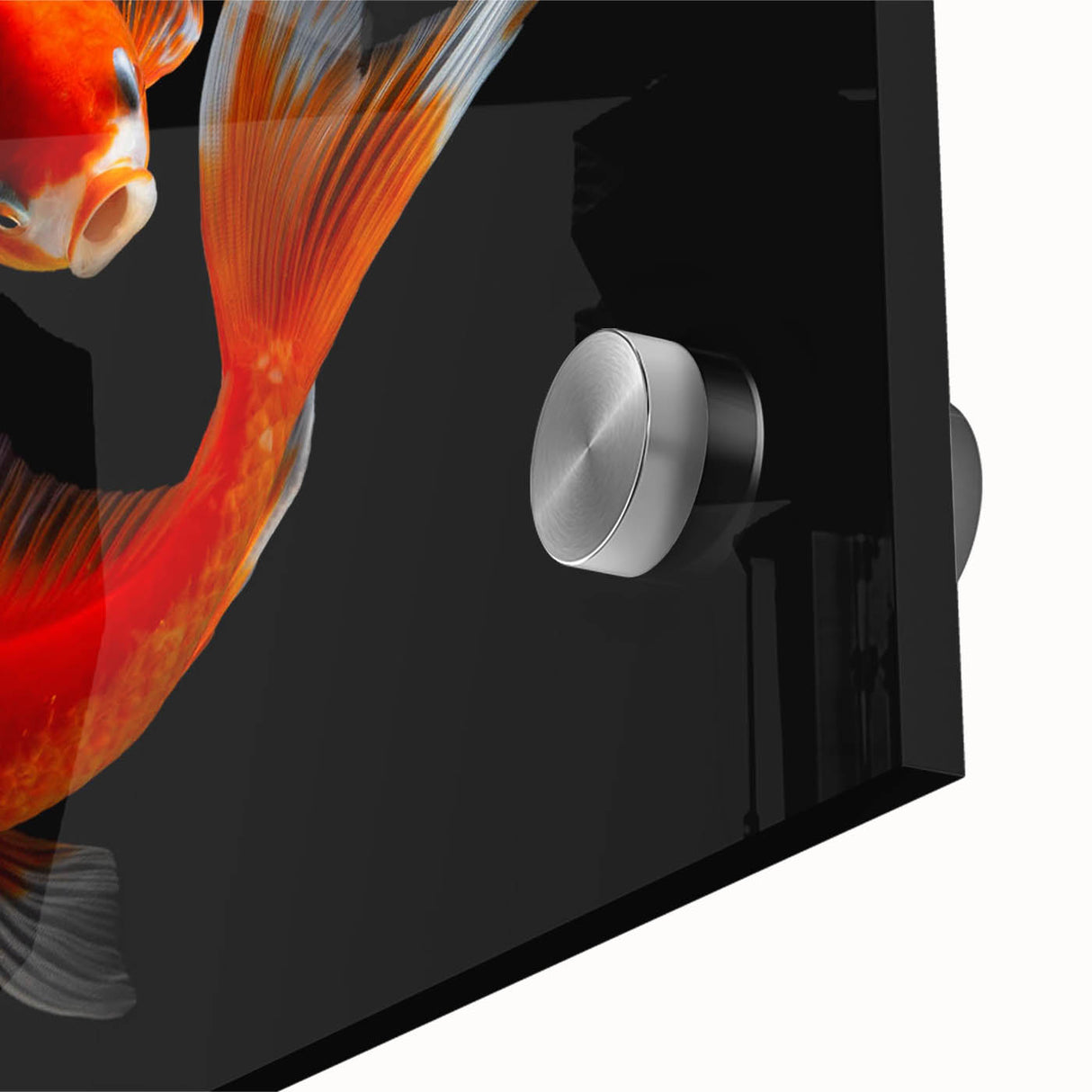 Vibrant close-up of a marine life fish design wall art piece, showcasing colorful aquatic creatures on acrylic glass, ideal for ocean-themed decor.