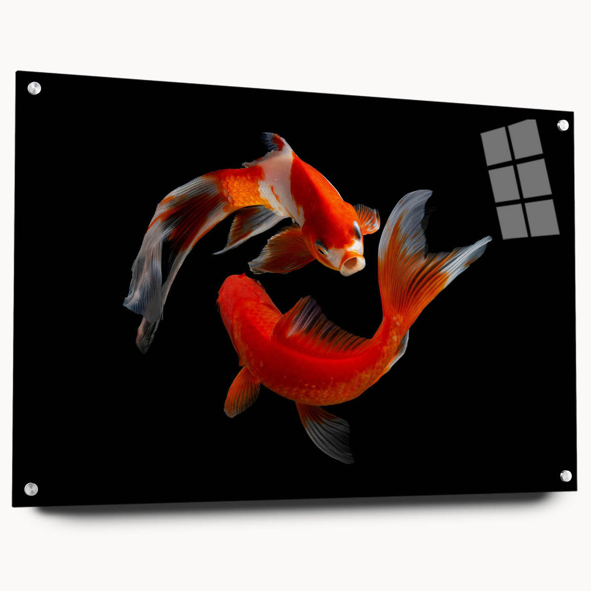 Side view of a vibrant marine life wall art collection featuring colorful fish designs displayed in an acrylic frame, showcasing intricate details and pins for mounting.