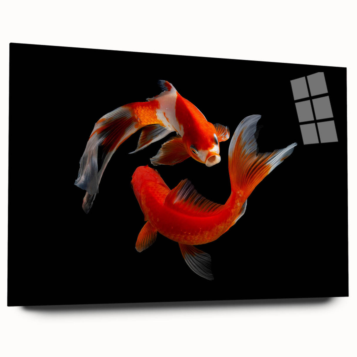 Colorful marine life fish wall art collection displayed in a sleek acrylic glass frame, showcasing vibrant aquatic designs and modern aesthetic for home décor.