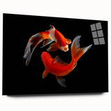 Colorful marine life fish wall art collection displayed in a sleek acrylic glass frame, showcasing vibrant aquatic designs and modern aesthetic for home décor.
