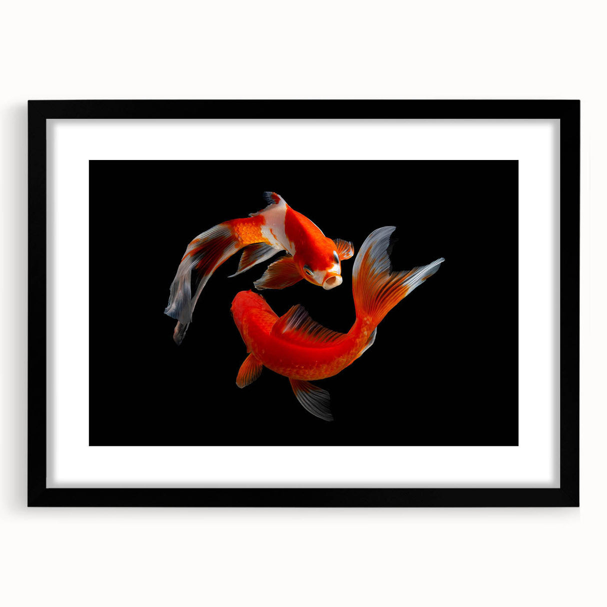 Framed wall art showcasing a vibrant marine life fish design, featuring a sleek black frame and mat, perfect for ocean-themed home decor.