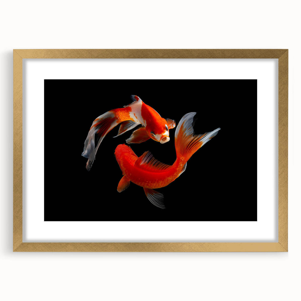 Framed wall art collection showcasing a vibrant marine life fish design with gold accents and a white mat, perfect for ocean-themed decor in any setting.
