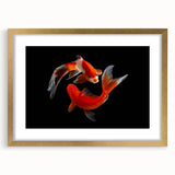 Framed wall art collection showcasing a vibrant marine life fish design with gold accents and a white mat, perfect for ocean-themed decor in any setting.