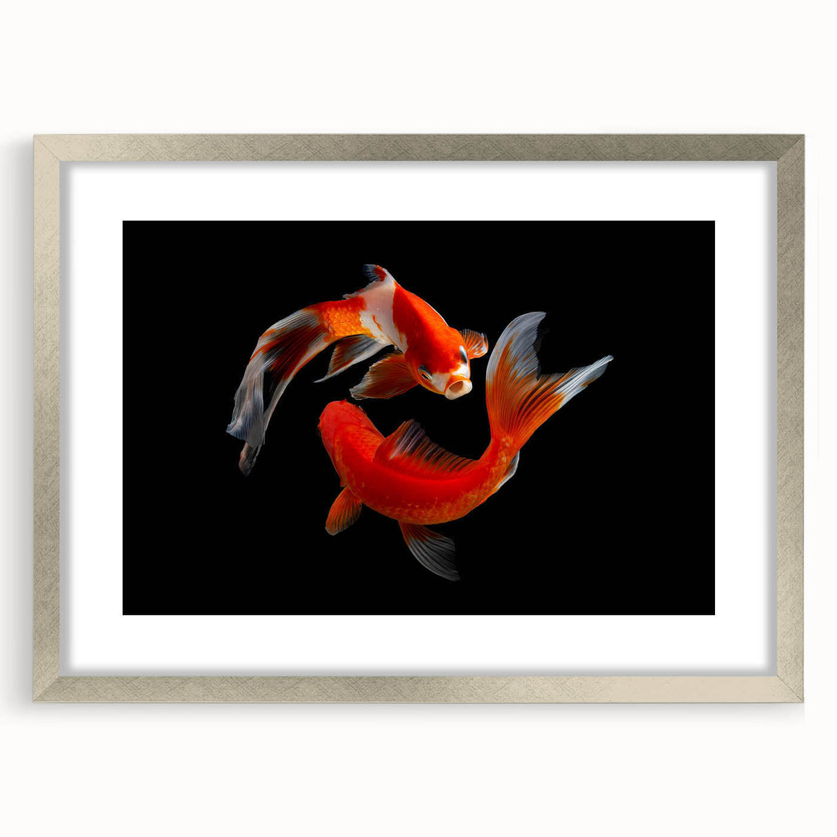 Framed wall art featuring a vibrant marine life fish design, with a silver frame and mat, ideal for ocean-themed decor. Perfect for enhancing living spaces with stylish aquatic visuals.