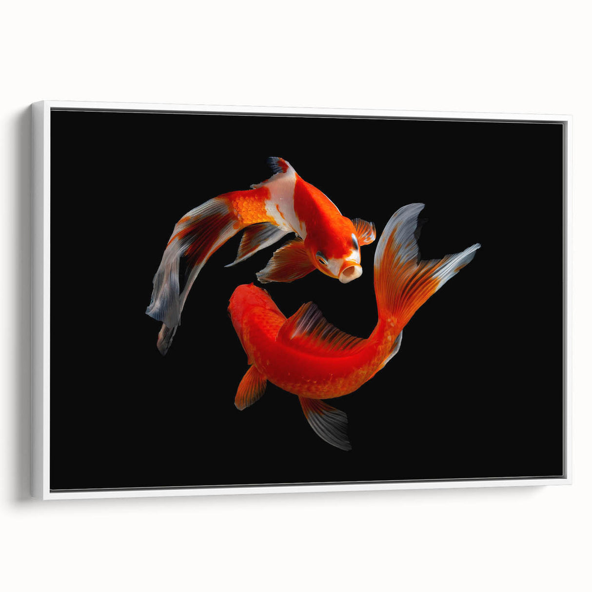 Framed canvas wall art showcasing a vibrant marine life fish design in colorful hues, set against a white background, perfect for ocean-themed decor.