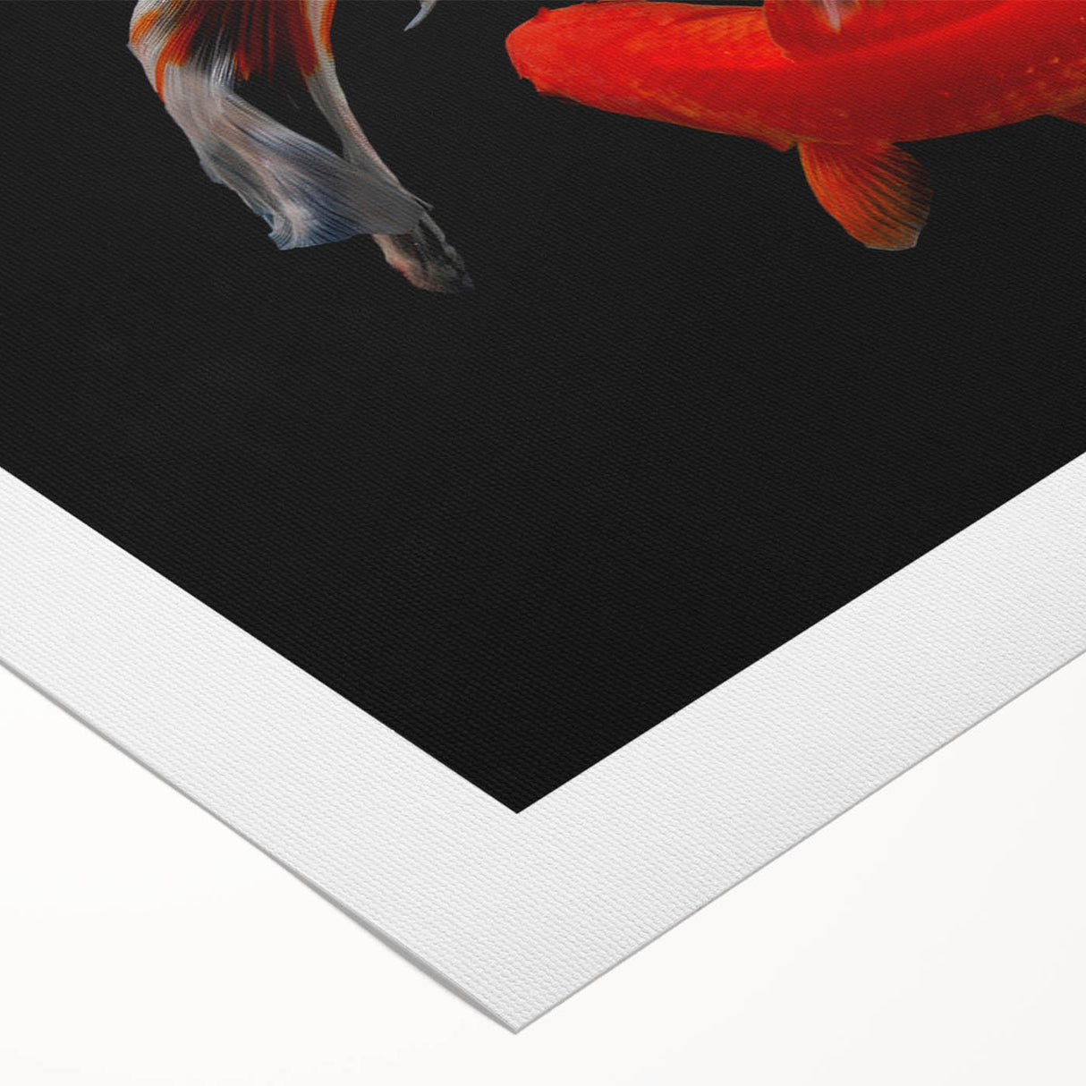Colorful marine life wall art design featuring various fish species in vibrant hues, printed on high-quality rolled canvas, ideal for ocean-themed decor.