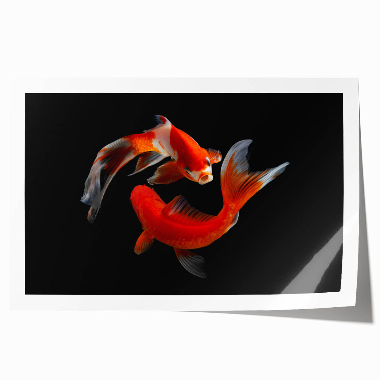 Vibrant marine life wall art print featuring colorful tropical fish and coral design, ideal for home decor. Rolled and ready for framing, showcasing ocean-inspired beauty.