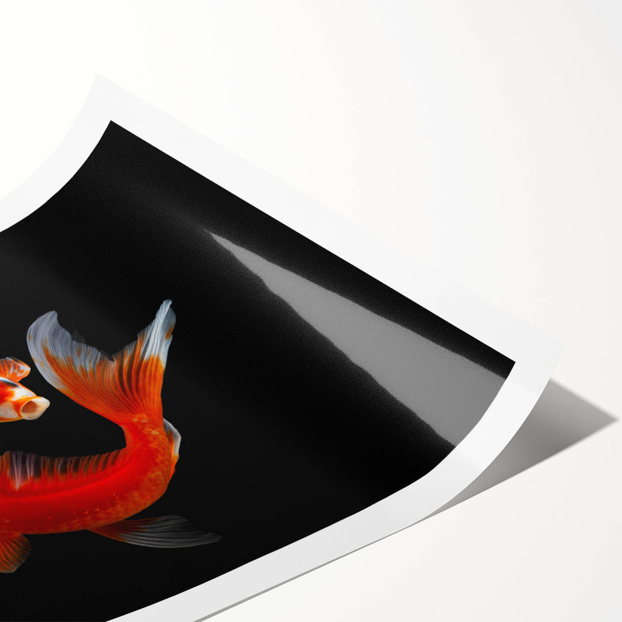 Colorful marine life wall art print featuring a variety of fish designs in vivid hues, rolled and ready for framing, ideal for ocean-themed decor.