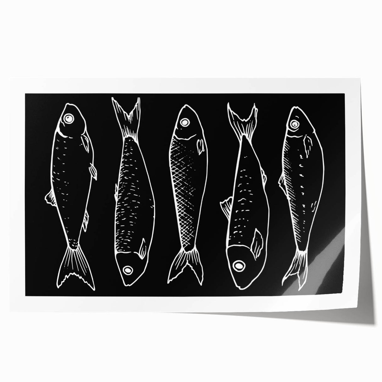 Vibrant marine life wall art print showcasing colorful fish designs in a sleek rolled format, perfect for home decor or ocean-themed interiors. The artwork highlights intricate details and vivid colors, ideal for enhancing aquatic-themed spaces.
