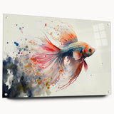 Colorful marine life fish design wall art collection displayed in an acrylic glass frame, showcasing vibrant aquatic imagery with multiple pins for easy hanging.