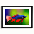 Framed wall art collection featuring vibrant marine life fish designs in a sleek black frame, perfect for ocean-themed decor. Ideal for enhancing home interiors.