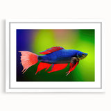 Framed wall art collection showcasing vibrant marine life fish designs in colorful hues, set against a white mat for a modern aesthetic. Perfect for ocean-themed decor.