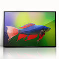 Framed acrylic wall art featuring a vibrant marine life fish design, showcasing colorful aquatic species against a sleek black frame, ideal for ocean-themed decor.