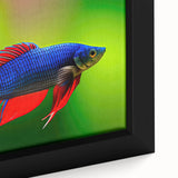 Close-up of a framed canvas showcasing vibrant marine life fish design, featuring intricate details and colors, perfect for ocean-themed home decor.