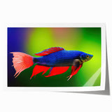 Vibrant marine life wall art design featuring colorful fish, coral, and ocean elements, printed on high-quality canvas, perfect for home décor or aquatic-themed spaces.