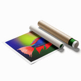 Vibrant marine life wall art collection featuring various colorful fish designs on a rolled print, ideal for ocean-themed decor in homes or offices.