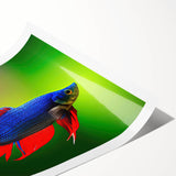 Vibrant marine life wall art print showcasing various colorful fish and underwater elements, rolled and ready for framing, ideal for ocean-themed decor.