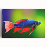 Vibrant marine life wall art collection featuring a colorful fish design on stretched canvas, perfect for ocean-themed decor. Ideal for enhancing living spaces.