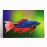 Colorful marine life wall art collection featuring vibrant fish designs on stretched canvas, leaning against a neutral wall, perfect for coastal decor enthusiasts.