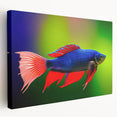 Stretched canvas wall art showcasing a vibrant marine life fish design, featuring colorful aquatic creatures against a deep blue background, ideal for ocean-themed decor.