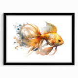 Black-framed wall art collection showcasing vibrant marine life fish designs, featuring intricate details and a sleek mat, perfect for ocean-themed decor.