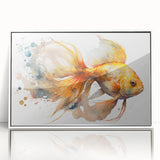 Framed acrylic wall art collection showcasing vibrant marine life fish designs in a modern white frame, perfect for enhancing coastal decor in any space.