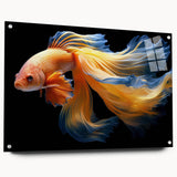 Colorful marine life wall art collection displayed in an acrylic glass frame, showcasing various fish designs with vibrant details and a modern aesthetic.