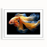 Framed wall art showcasing a vibrant marine life fish design, featuring colorful fish illustrations on a white background, perfect for ocean-themed decor.