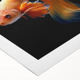 Vibrant marine life wall art canvas print showcasing colorful fish designs, perfect for ocean-themed decor. Ideal for adding a nautical touch to any room.