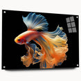 Acrylic wall art collection featuring a vibrant marine life fish design, displayed from a side view with decorative pins for hanging. The colorful fish illustrations showcase intricate details, perfect for ocean-themed decor.