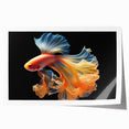 Colorful marine life wall art print showcasing vibrant fish designs set against a blue background, ideal for ocean-themed decor. Perfect for enhancing aquatic spaces.