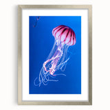 Framed wall art featuring a beautiful jellyfish design in vibrant colors, set in a silver frame with a mat, perfect for marine life enthusiasts and home decor.