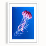 Framed wall art featuring a vibrant jellyfish design in shades of blue and purple, set against a white mat, ideal for marine life enthusiasts and modern decor.
