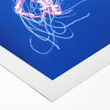 Vibrant jellyfish wall art design on rolled canvas, showcasing intricate marine life details and fluid colors, ideal for ocean-themed decor. Perfect for enhancing any living space.