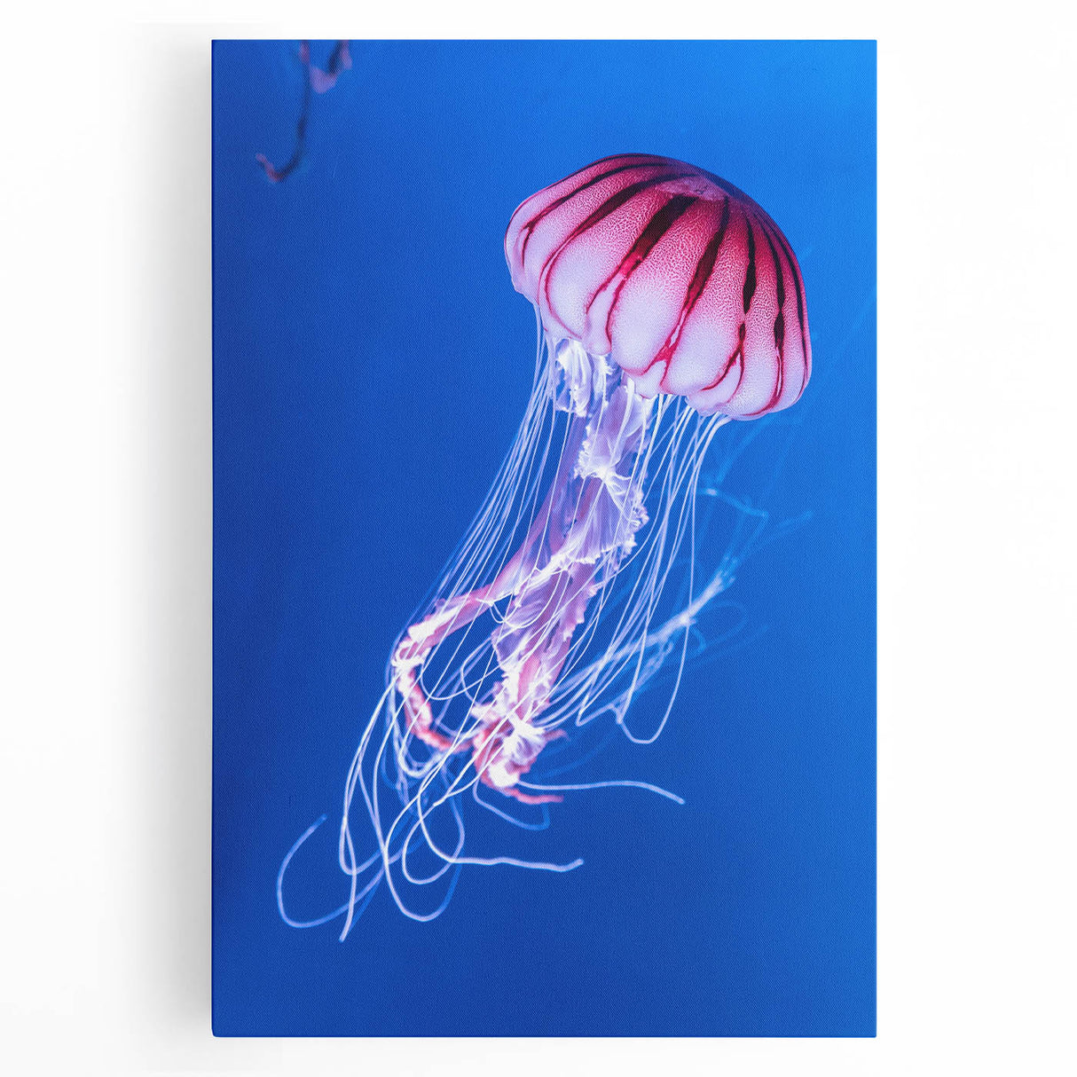 Vibrant jellyfish wall art printed on stretched canvas, showcasing intricate marine life details in soothing blue and purple hues, perfect for ocean-themed decor.