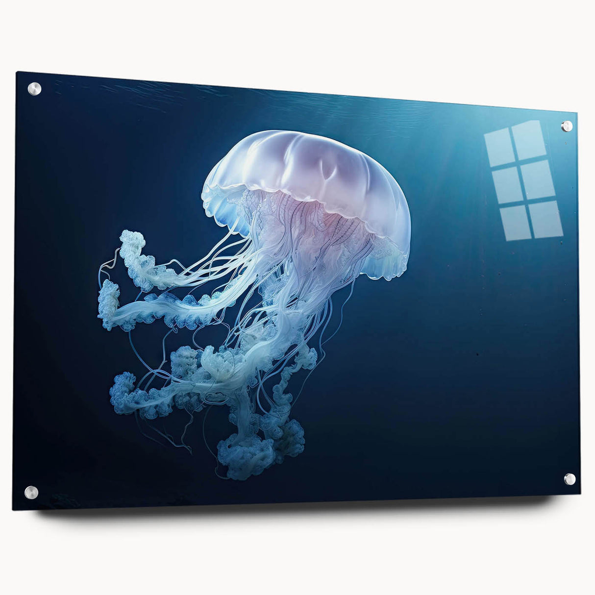 Vibrant jellyfish wall art design printed on acrylic glass, showcasing colorful marine life with a sleek side view, elegantly displayed with pins.