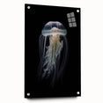 Colorful jellyfish wall art design displayed in an acrylic glass frame, showcasing marine life details with a side view perspective and decorative pins. Ideal for ocean-themed decor.