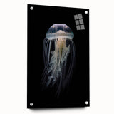 Colorful jellyfish wall art design displayed in an acrylic glass frame, showcasing marine life details with a side view perspective and decorative pins. Ideal for ocean-themed decor.