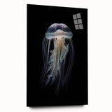Elegant wall art featuring a vibrant jellyfish design on acrylic glass, showcasing intricate details and luminous colors, perfect for marine life enthusiasts.