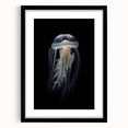 Black-framed wall art featuring a vibrant jellyfish design, showcasing intricate details and colors, perfect for marine life enthusiasts and modern decor.
