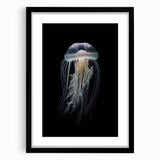 Black-framed wall art featuring a vibrant jellyfish design, showcasing intricate details and colors, perfect for marine life enthusiasts and modern decor.