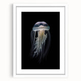 White-framed wall art featuring a vibrant jellyfish design, showcasing intricate details and colors, perfect for marine life enthusiasts and home decor.