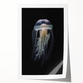 Vibrant jellyfish wall art print showcasing intricate marine life details, featuring flowing tentacles in shades of blue and pink, presented as a rolled canvas for easy display.