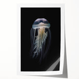 Vibrant jellyfish wall art print showcasing intricate marine life details, featuring flowing tentacles in shades of blue and pink, presented as a rolled canvas for easy display.