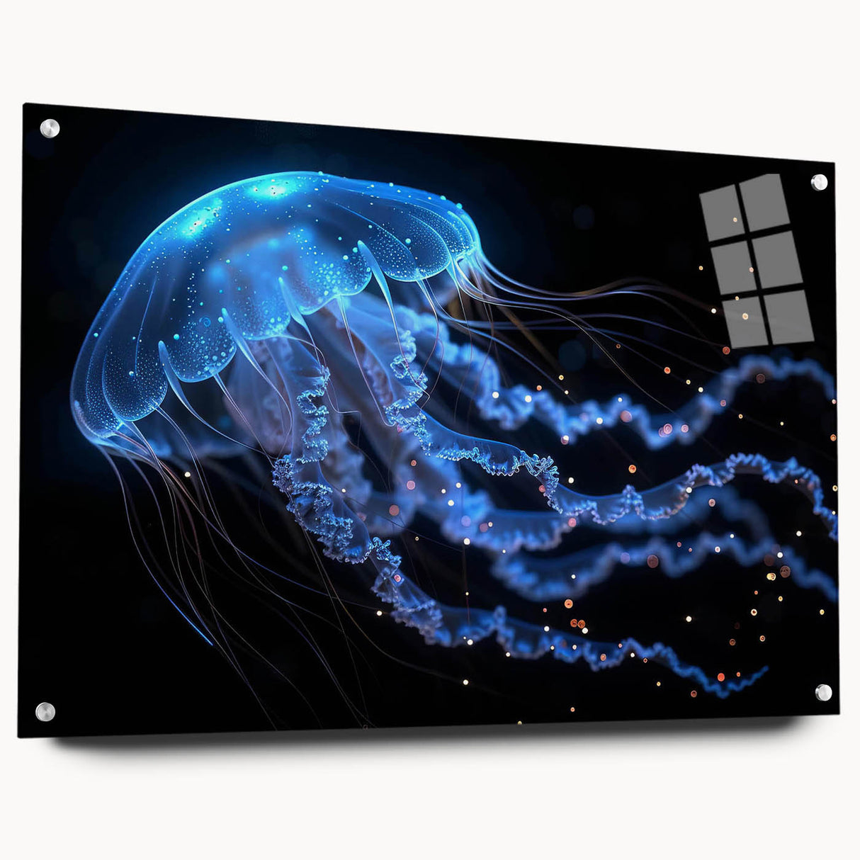 Colorful jellyfish wall art collection displayed in acrylic glass, showcasing intricate marine life design with vibrant hues, ideal for ocean-themed decor.